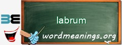 WordMeaning blackboard for labrum